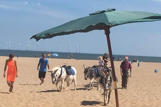The image posted on Facebook that prompted concerns about the welfare of Skegness in the blistering heat.by ANL-180726-092530001
